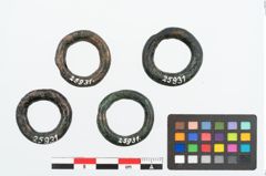 Foto von Bronzering (NHMW-PRAE-025931)
